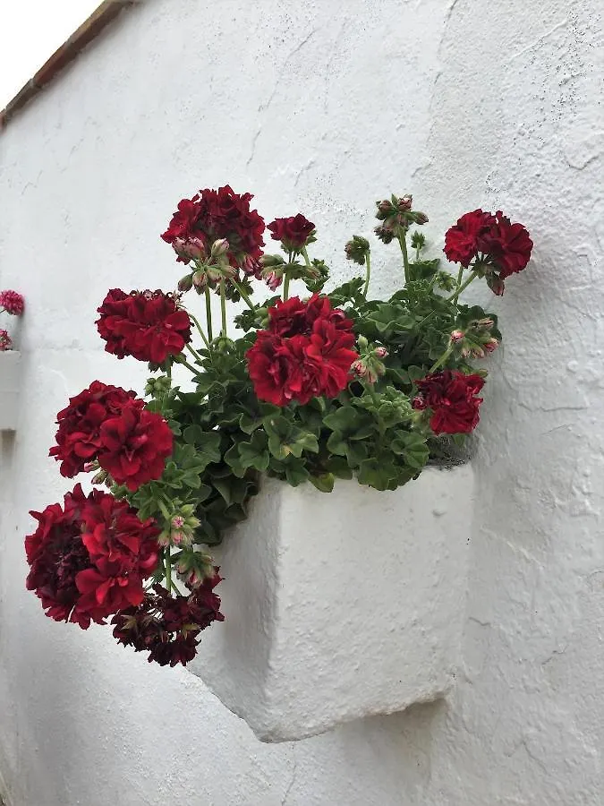 Casa Las Torres B&B Iznate